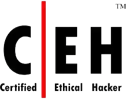 Certified Ethical Hacker (CEH)